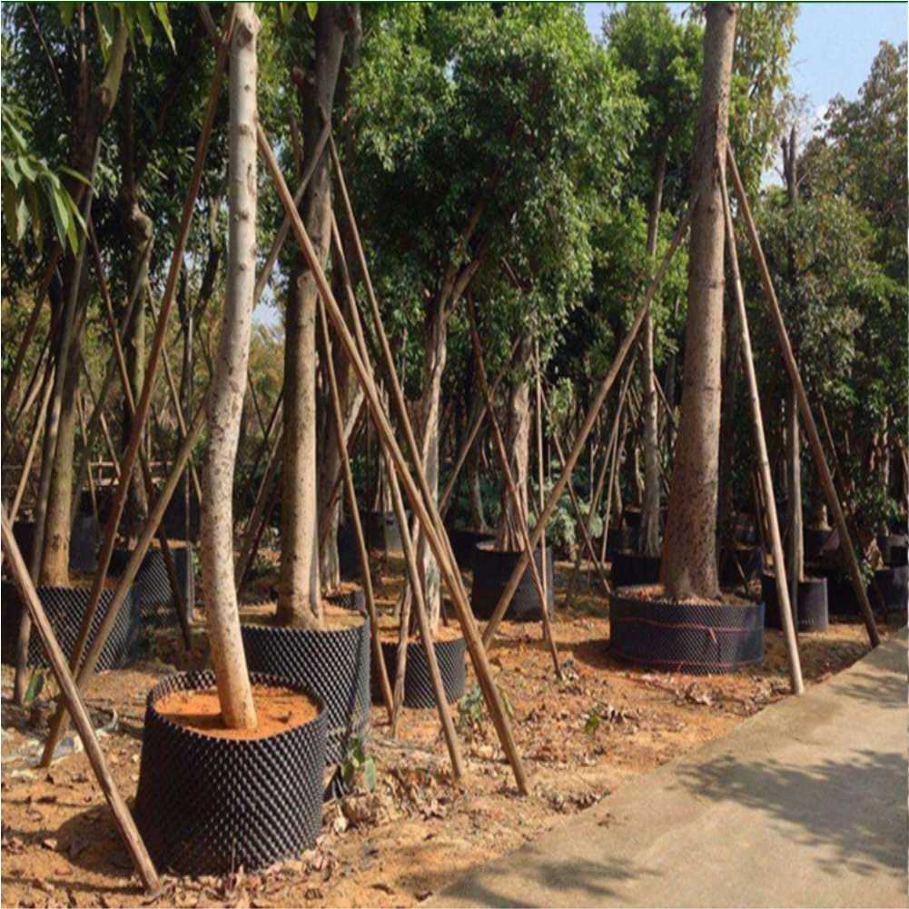 Grow Container Garden Tree Bon - Outdoor Furniture review and price
